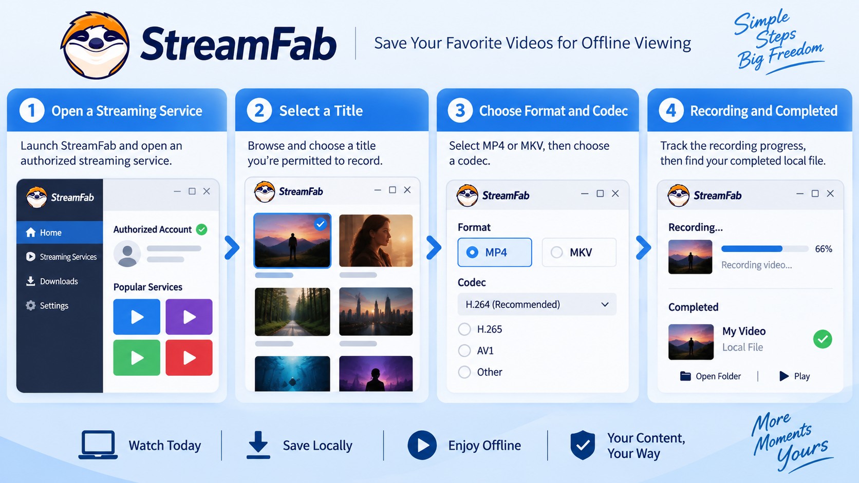 StreamFab workflow from authorized playback to MP4 or MKV local files