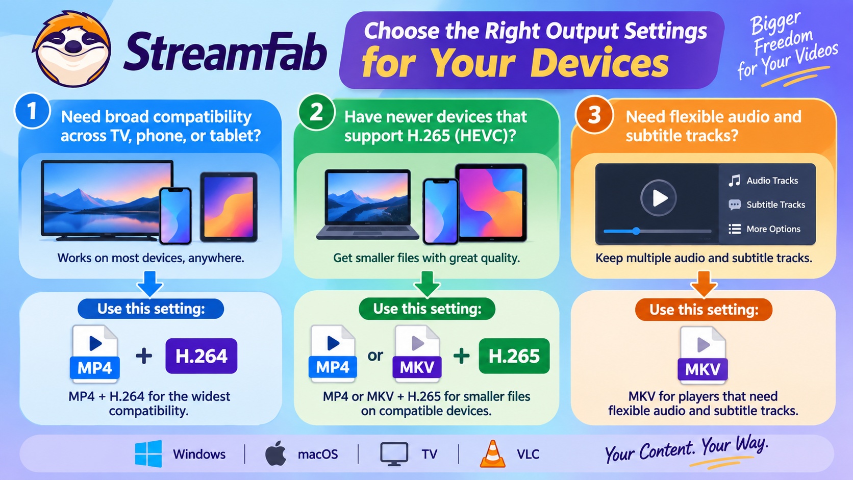 MP4 or MKV and H.264 or H.265 choices based on the playback device.