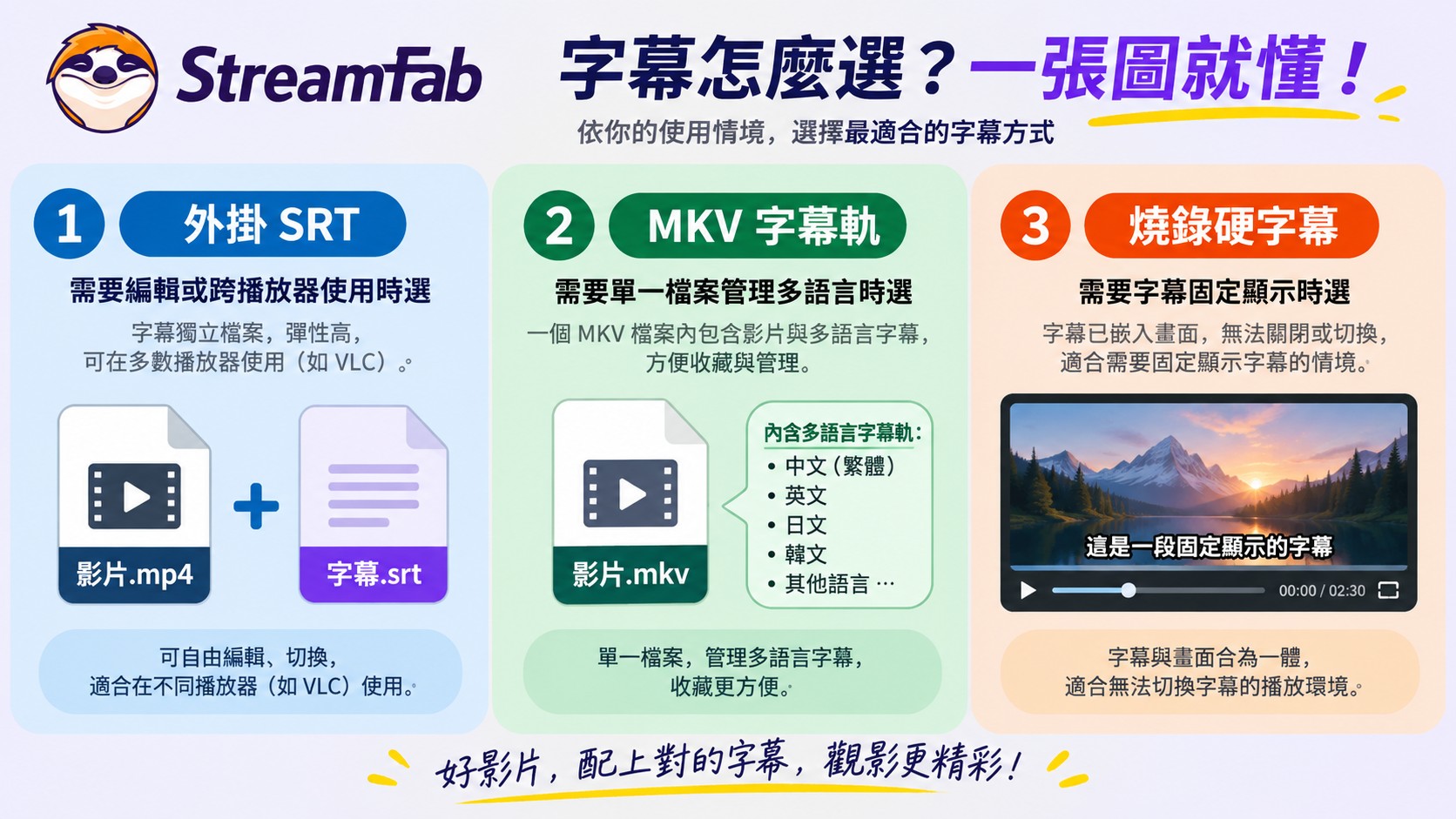 StreamFab字幕格式選擇，編輯選SRT，多語言單檔管理選MKV