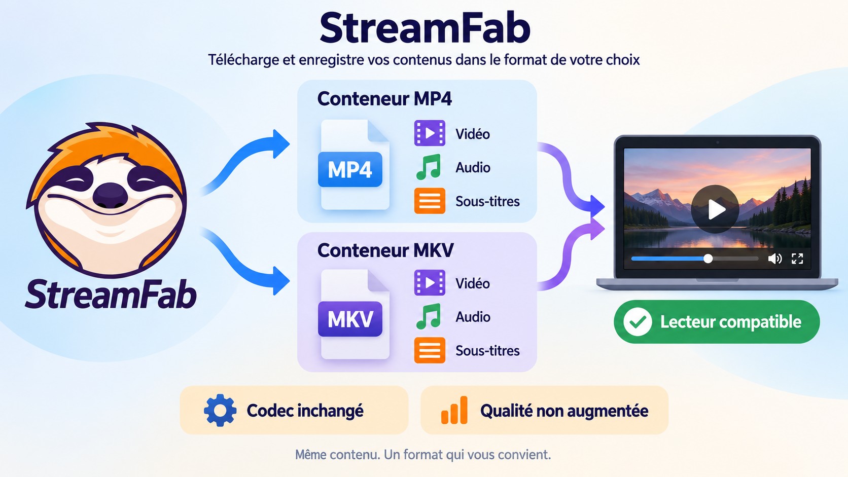 MP4 et MKV contiennent vidéo, audio et sous-titres sans augmenter la qualité