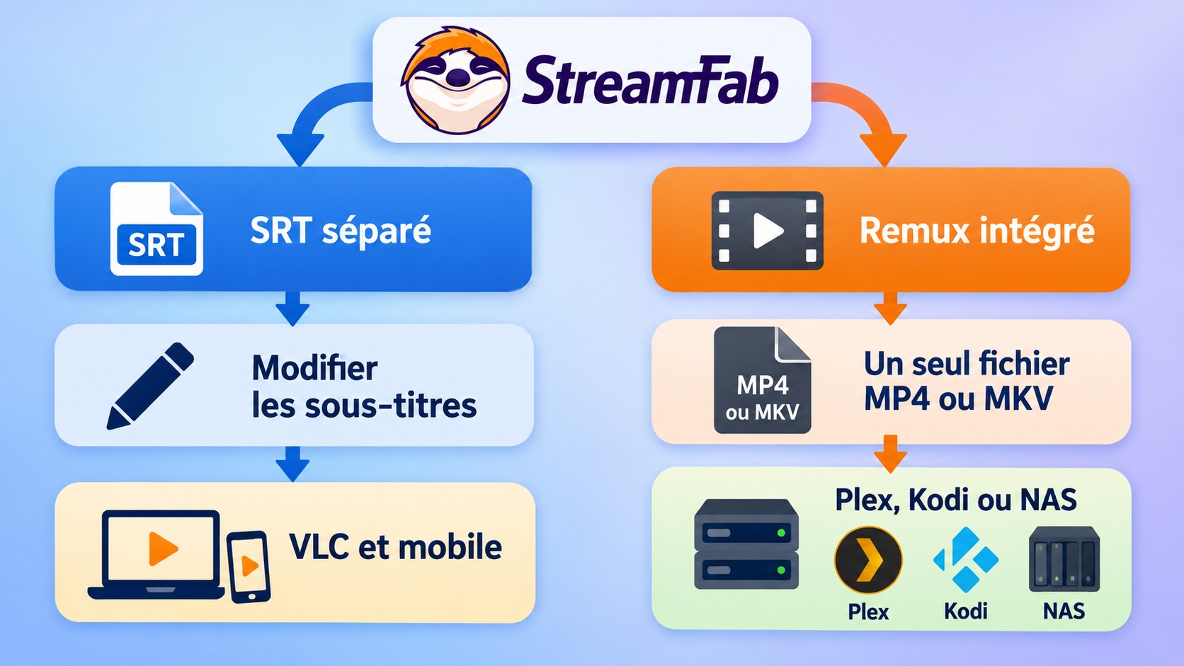 Choix entre SRT pour VLC et édition, ou remux MP4 et MKV pour Plex, Kodi et NAS.